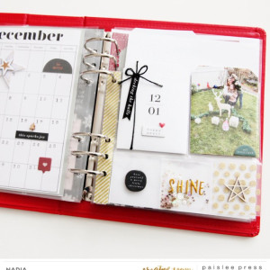 Paislee-This Day In December No. 3-projectbyNADIA