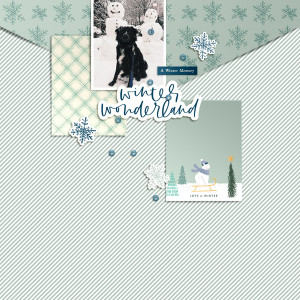 winter wonderland