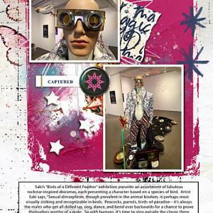 BigDeal_Stardust_flowersgal_web