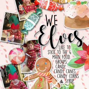 Elf Food Groups