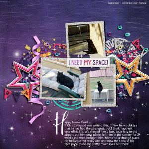 Dec21_Journaling_Happy Meow Year