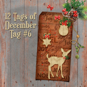 12 Tags of December - Tag #6