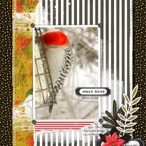 Lynn-Grieveson_2021-12_December_SOSN_1222_Lumi_Springboard8_web
