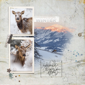 Winter
