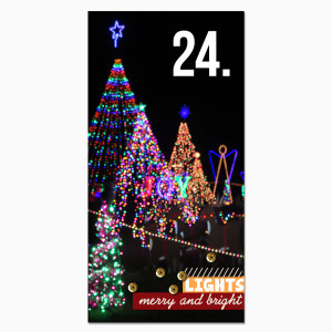 024-Roscoe-Lights_web