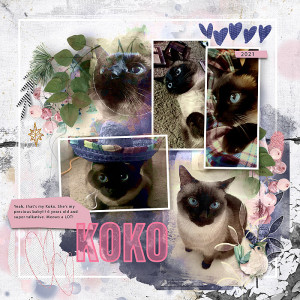 2021-Koko-Gessika's-cat-copy7b
