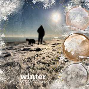 Winter Wonderland