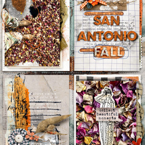 MOC6_QuadrantLayout_SanAntonioFall