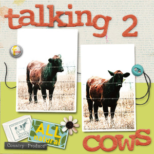Talking 2 Cows January MIS Challenge