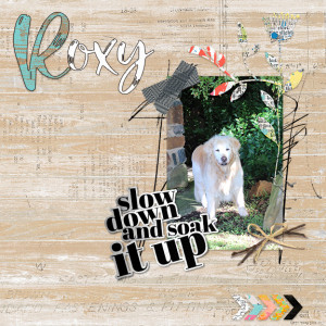 MOC Day 1-Roxy