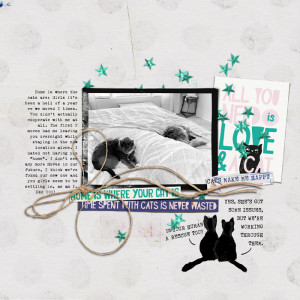 MOC10-01-catlove-copy