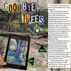 Day_2_GoodByeTrees