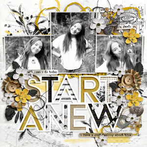 start anew
