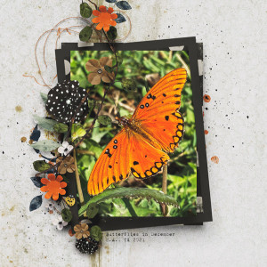MOC8-Florals&Foliage_ButterfliesInDecember#2