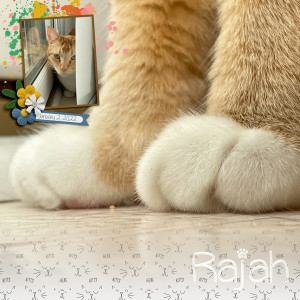 20220102-Rajah