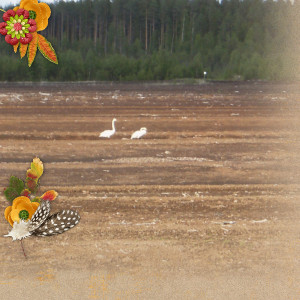 January 4: photo blended