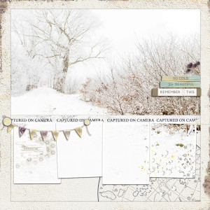 so cold - so beautiful