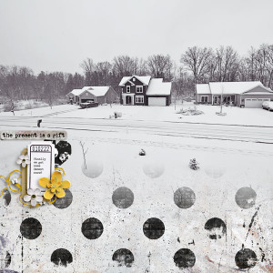 Snow Jan 2022