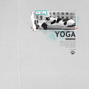 Day 5 - Yoga Kitty