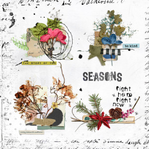 Seasons