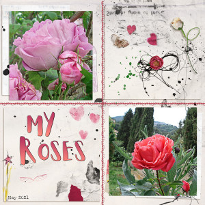 Roses