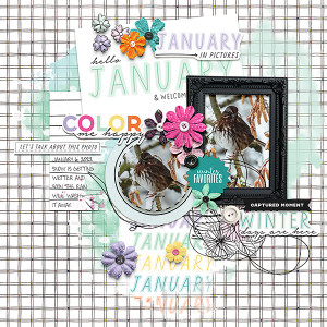 Color Me Happy
