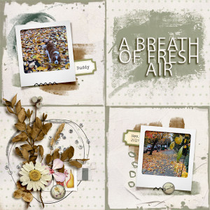 MOC 22 - Day 6 -A Breath of Fresh Air