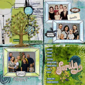 FAMILY  MOC10Day6Quadrant