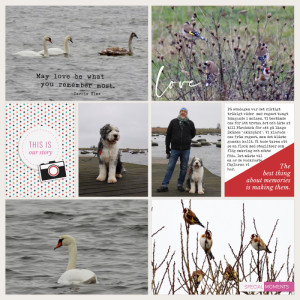 Week 52b January 2022