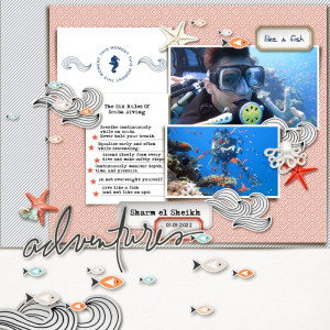 MOC10_Day7 - Like A Fish
