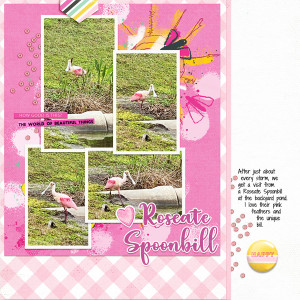 Roseate Spoonbill
