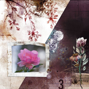 Day-1---10-Items