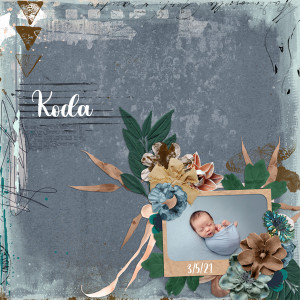 1-8-FLORALS, FRAMES, FOLIAGE_web
