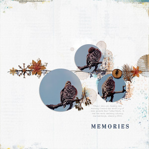 Memories