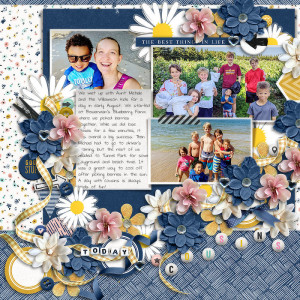 Blueberriesweb7
