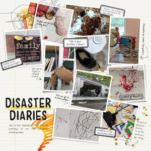 Disaster Diaries