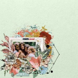 MOC10_8_Frames And Florals