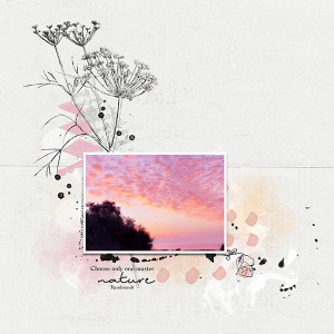 Nature_MOC10_day12