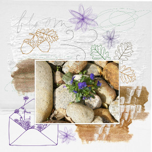 January 12: Mixed Media