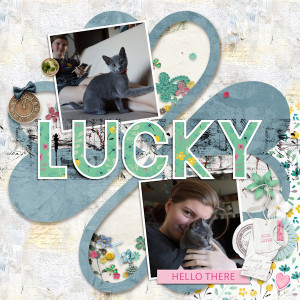 2020_Mila Cat Lucky