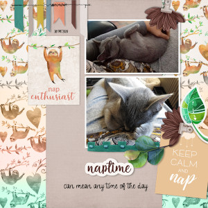 201028_cat Nap