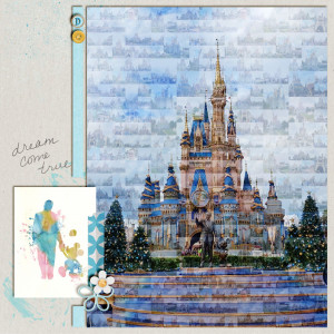 Castle Cover