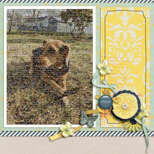 MOC10 - Day 14 Mosaic Photo - Friday
