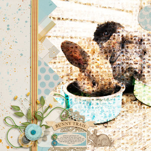 Bunny Trail