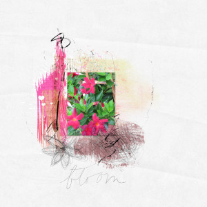 2022-Jan 12-Mixed Media