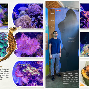 Mote Aquarium