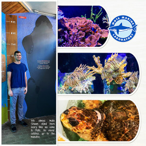 Mote Aquarium, right side