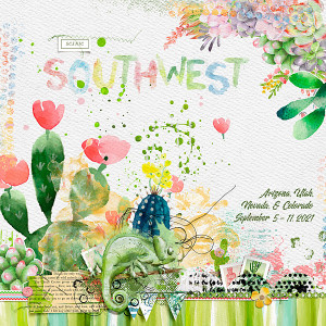 2021-Scenic-southwest-Book-Cover