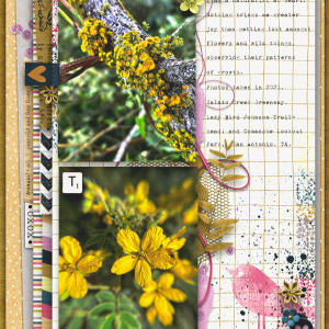 MOC15_FilledPage_Tranquility