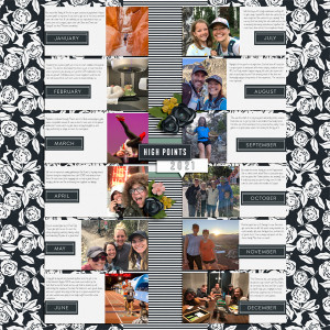 Year In Review